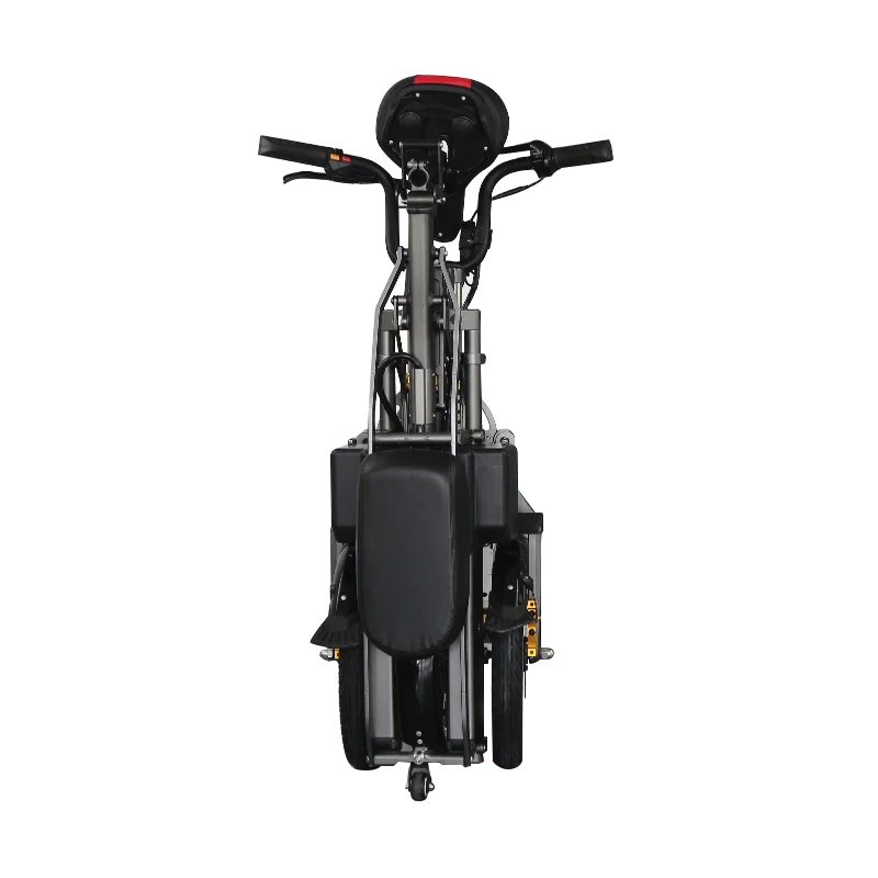 2019 ESWING 36V 22AH double lithium-ion battery big wheel 3 wheel smart balance electric scooter