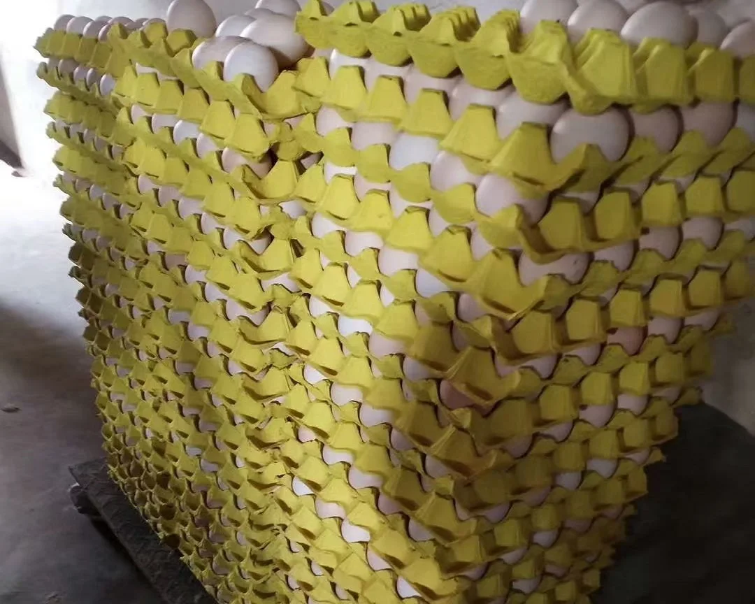 Egg tray biodegradable kraft cardboard paper Chicken Duck eggs tray Paper Pulp 6/8/10/12/15/30 cavities holes