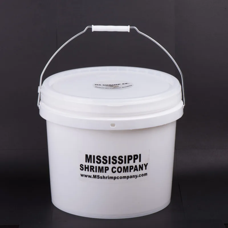 Bucket Design Lid Portable Thickened plastic bucket basin with Handle Water Plastic 4Liter