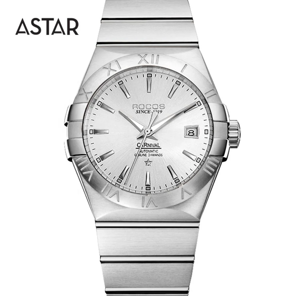 Dropship High Quality Sapphire 316L All Matt Stainless Steel Mechanical Automatic Transparent Caseback Watch Man for Sale