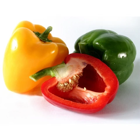 bell pepper green yellow red sweet pepper fresh capsicum wholesale bell pepper