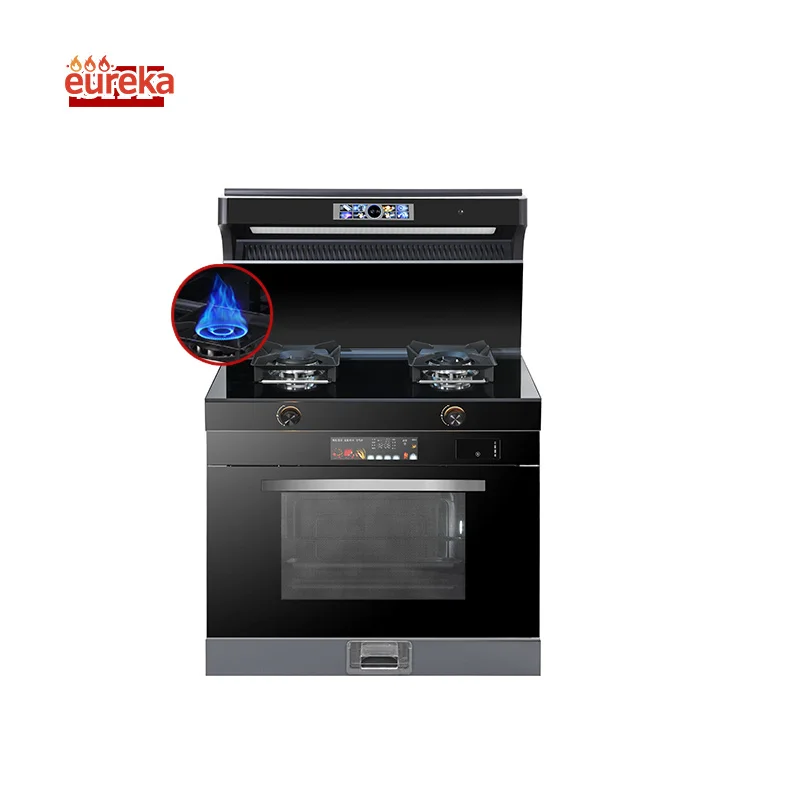 Stoves Gas Cooker 2 Burners Stove Top Kitchen Appliances with Oven