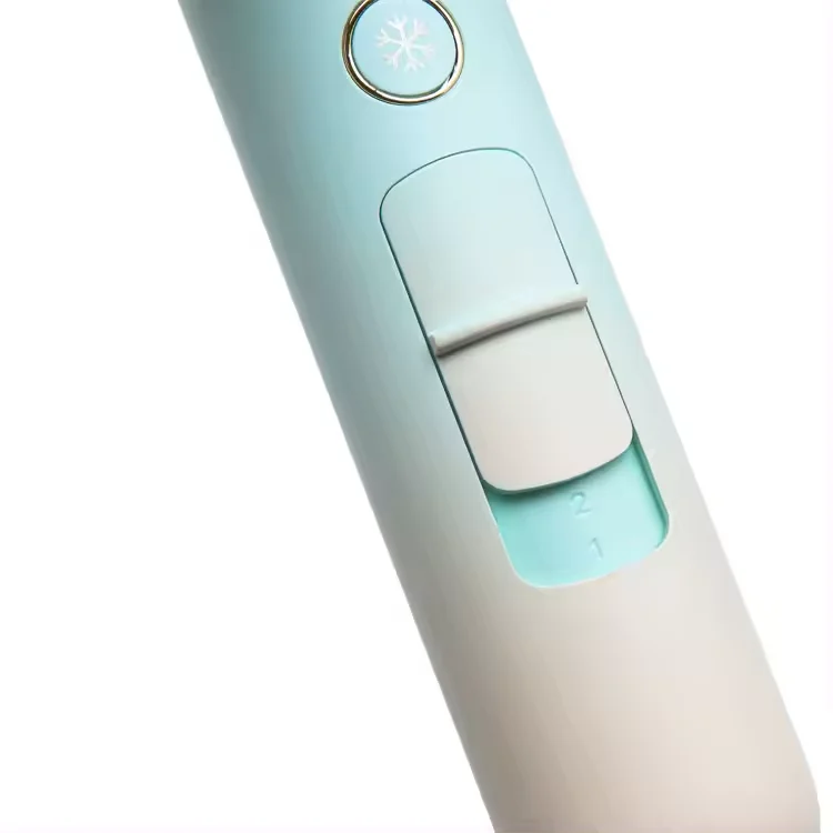 Manufacturers Portable Hair Dryer  Brushless Motor Ionic Blow and Diffuser Electric Power for Travel