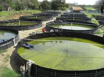 black plastic virgin material fish farming aquaculture  pond 0.3mm 2.5mm geomembrane price