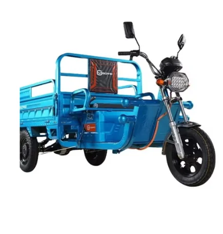 Factory Direct Sale Heavy Load Capacity E Trike Agricultural Vehicle 3 Wheels Electric Cargo Tricycle Motorcycle Bike