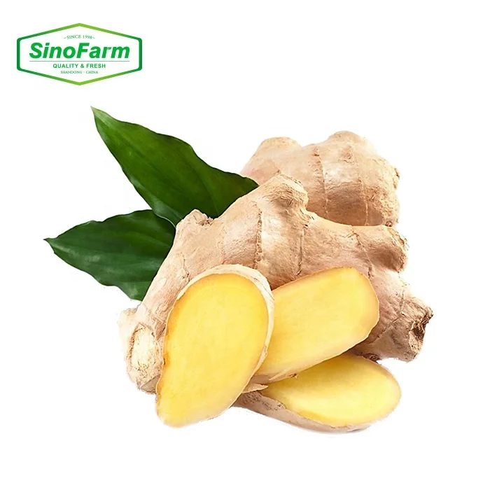 Sinofarm Manufacturer Fresh Air Dry Ginger Supplier Thin Ginger Fat Ginger Fresh in China