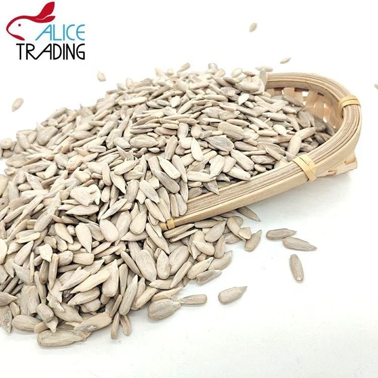 
Big Size Raw Snack Cheap Price Sunflower Seed Kernels 