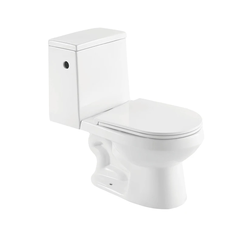 Medyag America Modern Single Flush Ceramic 2-Piece Elongated Toilet White Inodoro Floor Mounted WC for Bathroom