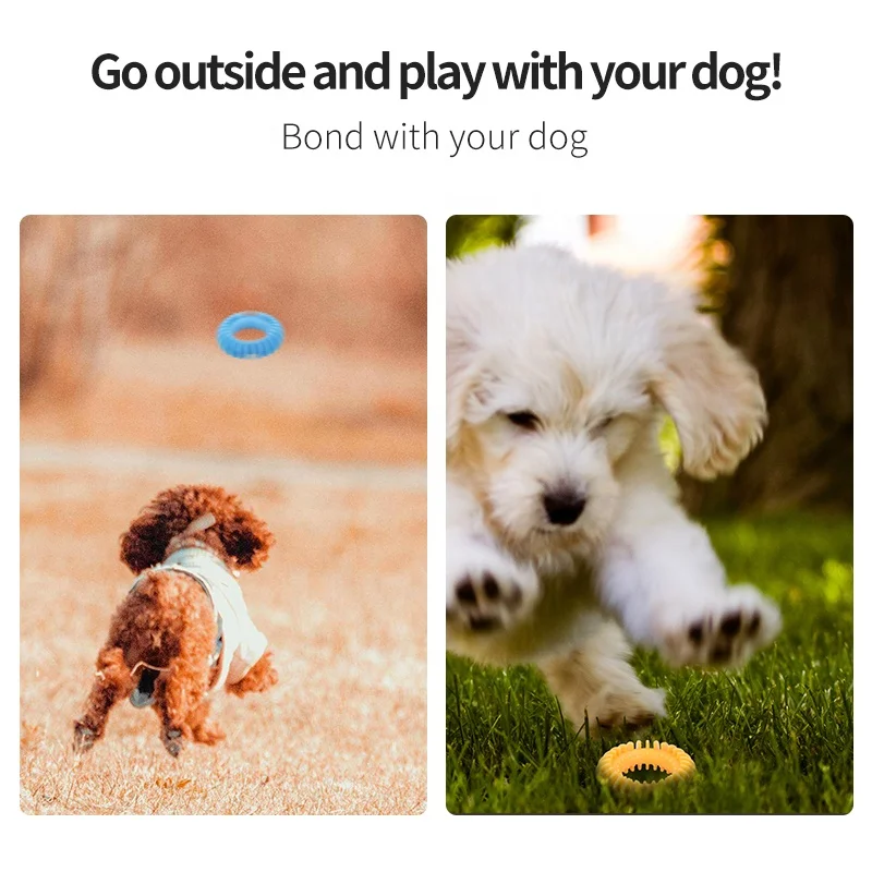 Hot Sale Beef Flavor Rubber Indestructible Pet Dog Chew Toy for Aggressive Chewers Teeth Cleaning Dog Toothbrush