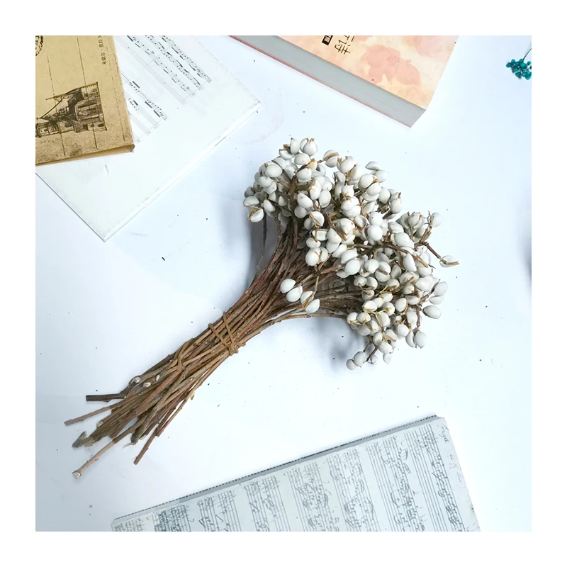 
New Yunnan Hot-selling Dried Coix Seed Fruit White Fruit For Wedding Home Decoration 