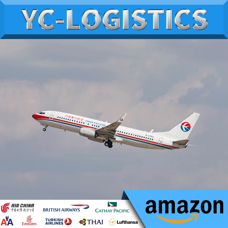  Экспресс-обслуживание от двери до авиаперевозка из Китая в Индию FCL/LCL