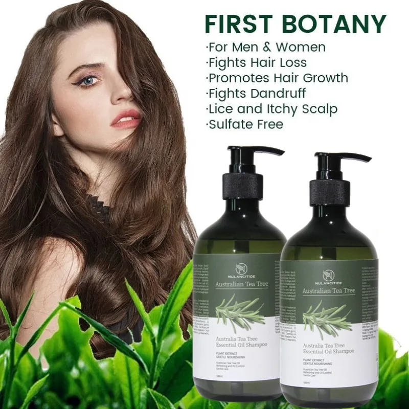 Tea Tree Oil Control Shampoo Hair Care Products Hair Loss Rosemary Organic Ginger Mint Oil Hair Growth Shampoo For Men And Women