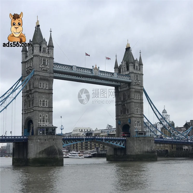 International Sea Freight Cargo Ocean Shipping Forwarder Service  to Sydney/Melbourne/Australia