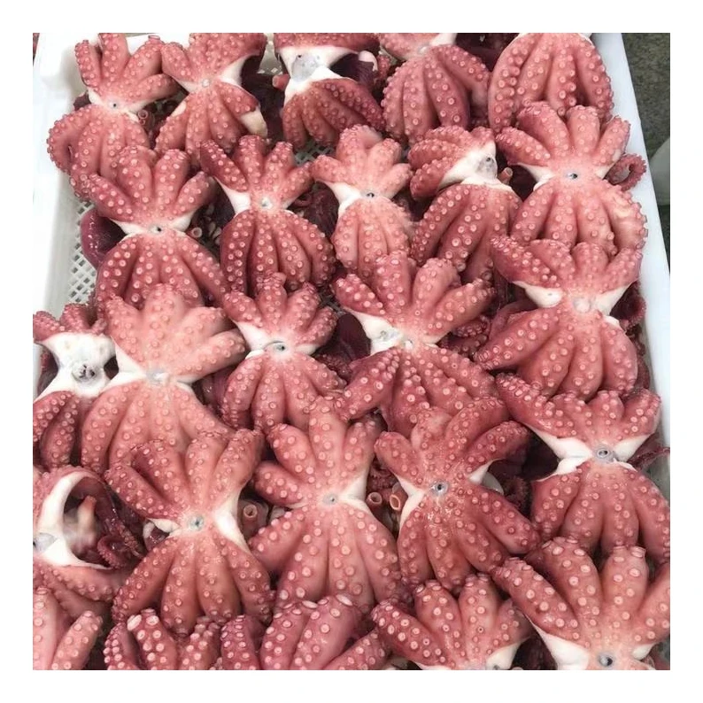 whole round IQF frozen steamed octopus fish cooked seafood products