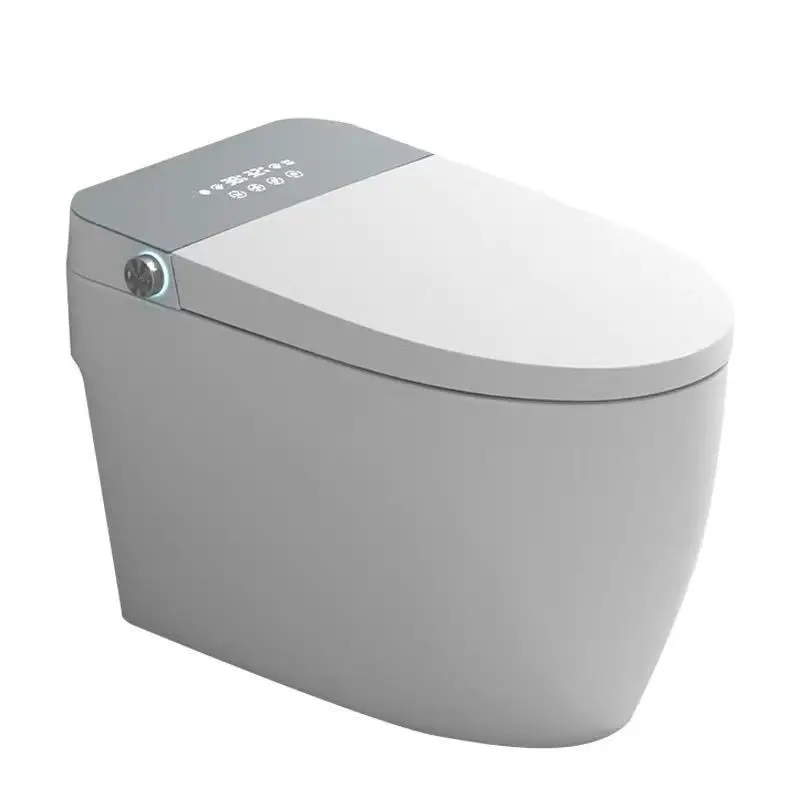 Custom Smart Bidet Toilet Seat With Auto Tankless Toilet With Remote Control Smart Lady Care Wash Nozzle Water Closet Toilet