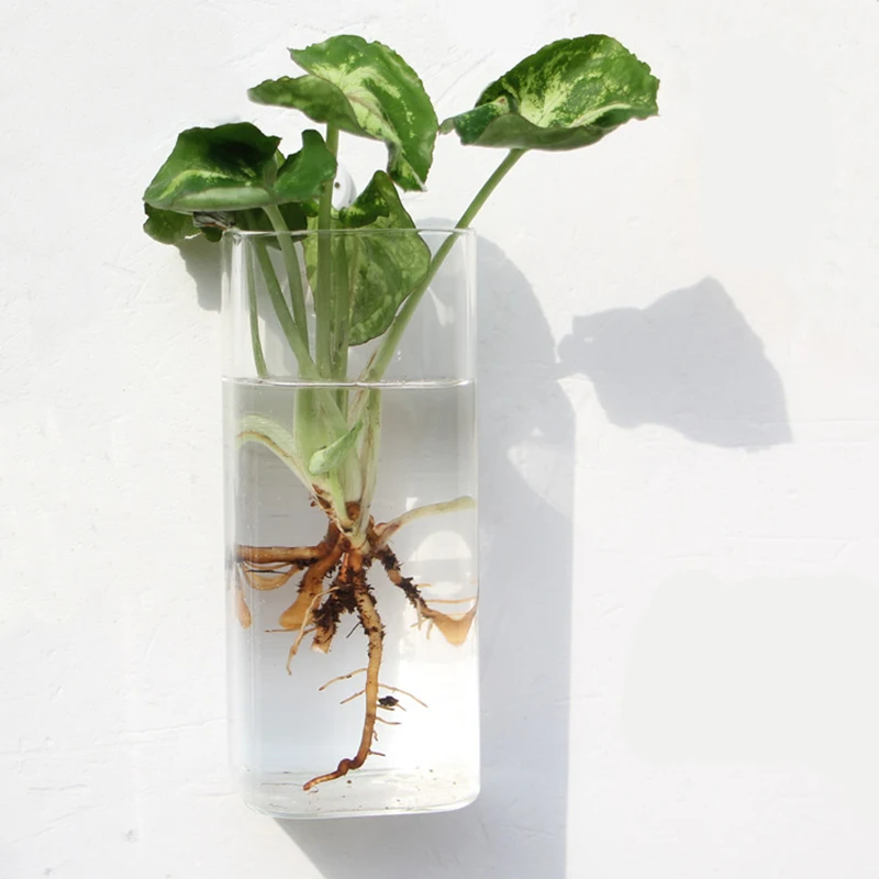 Wall Planter Propagation Stations Hanging Glass Terrariums Vase Container for Propagating Hydroponic Plants Flowers Home Office
