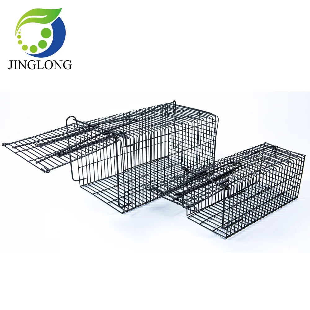 Live Animal Rat Mouse Humane Trap Cage Mush Black