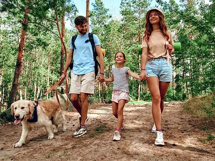 repellent bracelet  (7).jpg