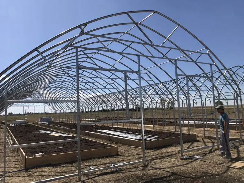 greenhouse complete structure light blackout greenhouse fully automated hemp invernadero agriculture greenhouse