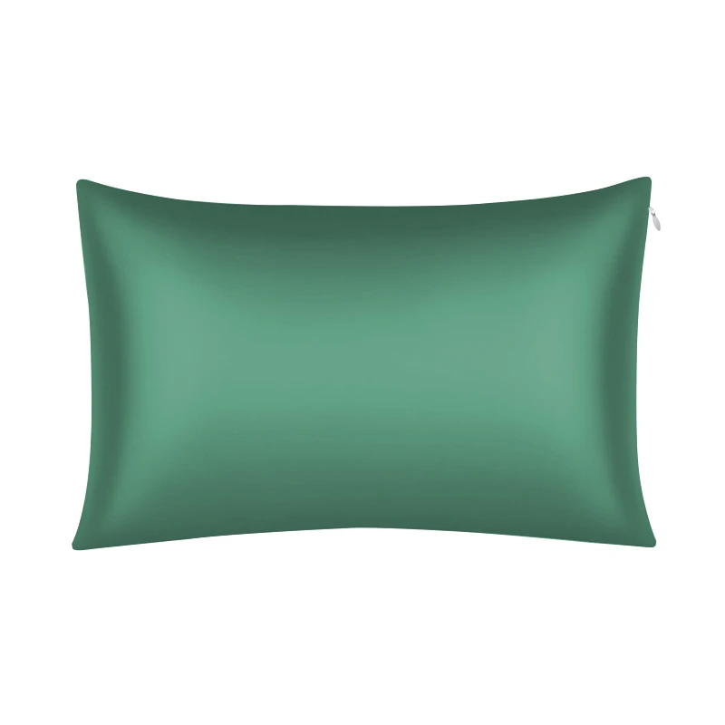 Natural Luxury 19MM 100% mulberry silk Zipper Pillow Case smooth Silk Pillowcase