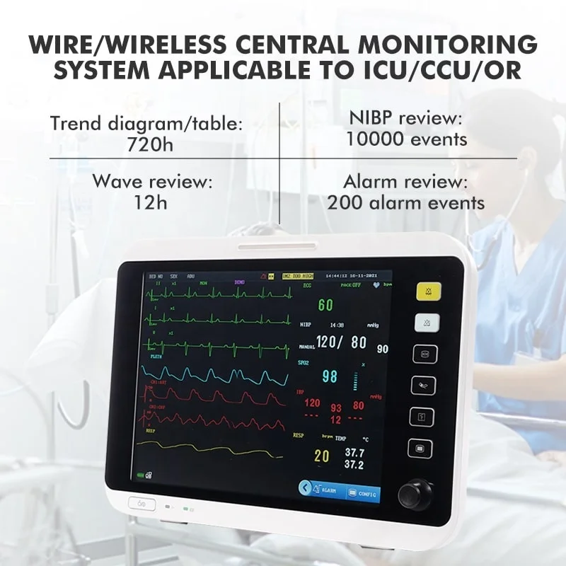 12.1 Inch Price Of Portable Animal Vet ICU Multiparameter Vital Signs Monitor Veterinarios Mini Veterinary ECG ETCO2 Pet Monitor