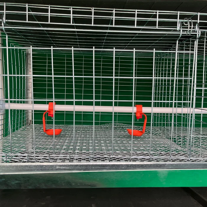 Full automatic broiler chicken coop with poultry equipment for poultry husbandry