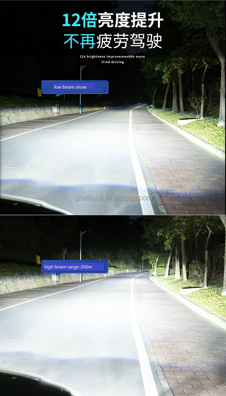 .jpg