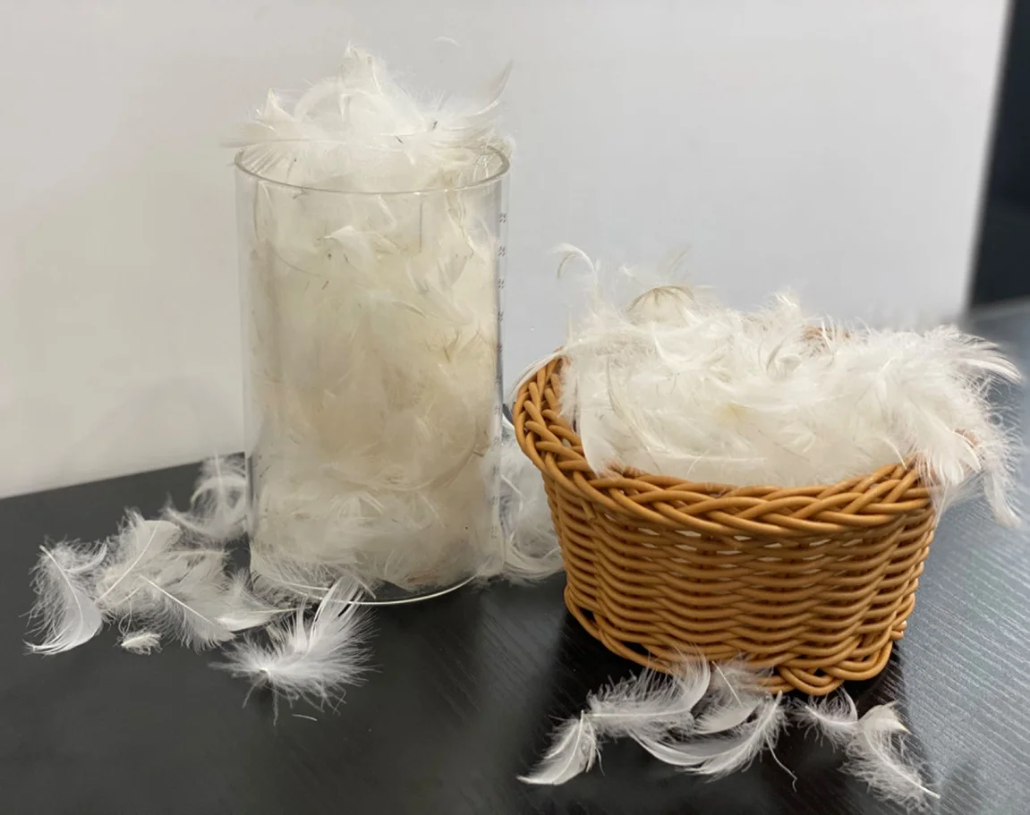 2-4cm large washed 90 white duck feathers: natural material for filling feather pillow sofa cushions