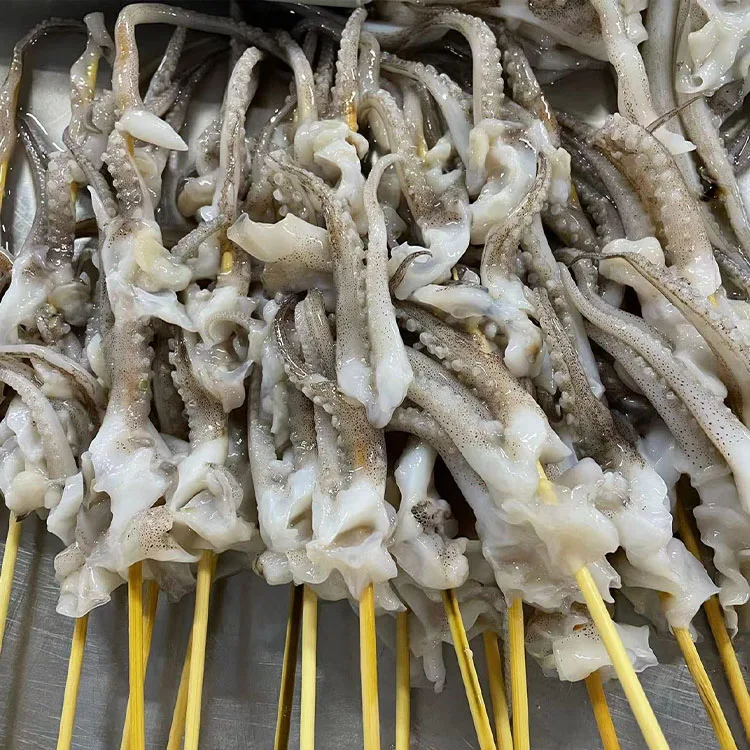 Squid Tentacles Illex argentina Squid Skewers gigas squid