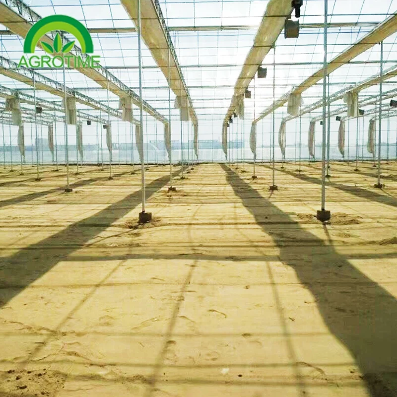 Multi Span Greenhouse Polycarbonate Hydroponics Greenhouse Tunnel