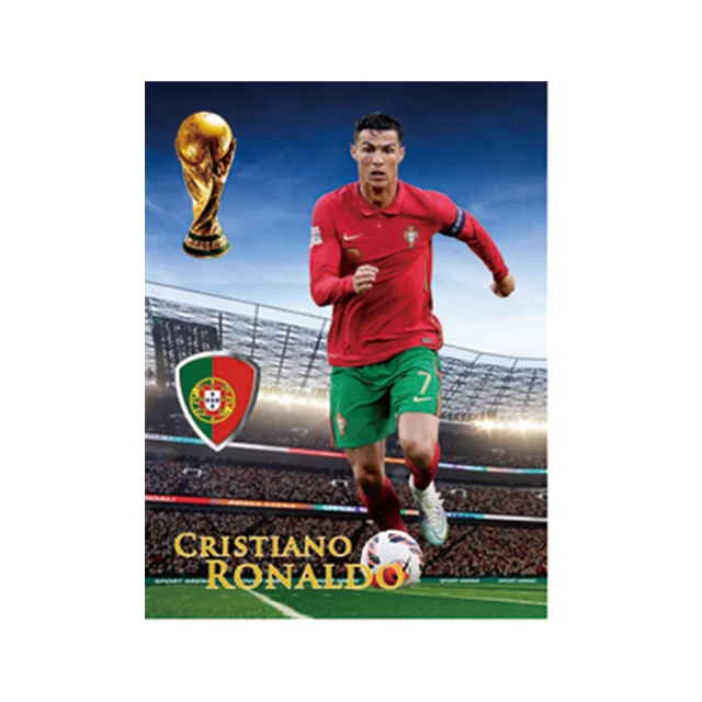 14 Designs World Football Soccer Player 12x16 inches Poster 3D Lenticular Football  Poster
