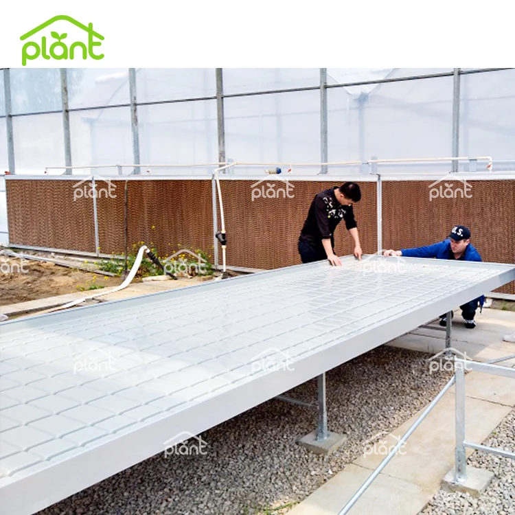 Movable Seeding Bed Rolling Benches Greenhouse Table ABS Tray Ebb And Flow Rolling Benches Tables