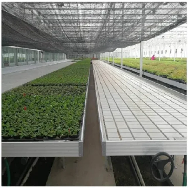 Vertical Hydroponic Ebb and Flood Tables Commercial Seedling Rolling Bench Used in Greenhouse