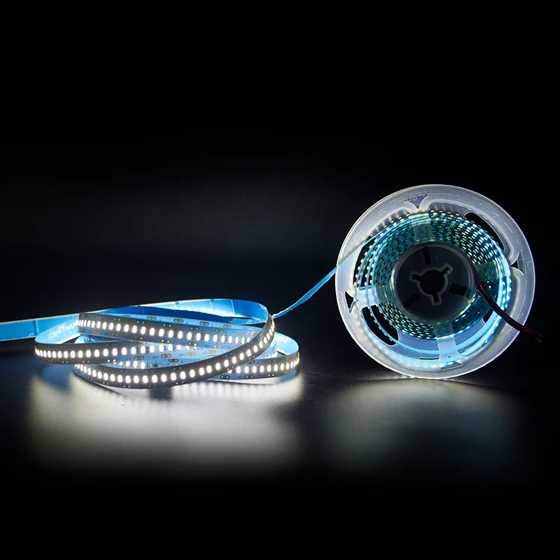 Super Bright SMD 3014 Waterproof 1200Leds 5M Single Color 3000K 6000K DC24V 12V Led Strip Light For Home Decoration