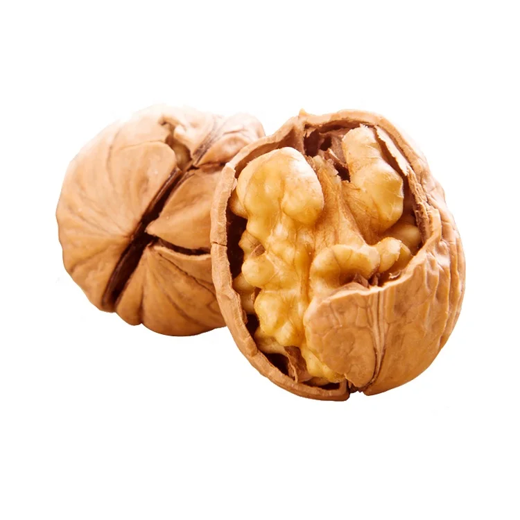 
Wholesale large manufacturers export top grade walnuts high quality walnuts in shell 