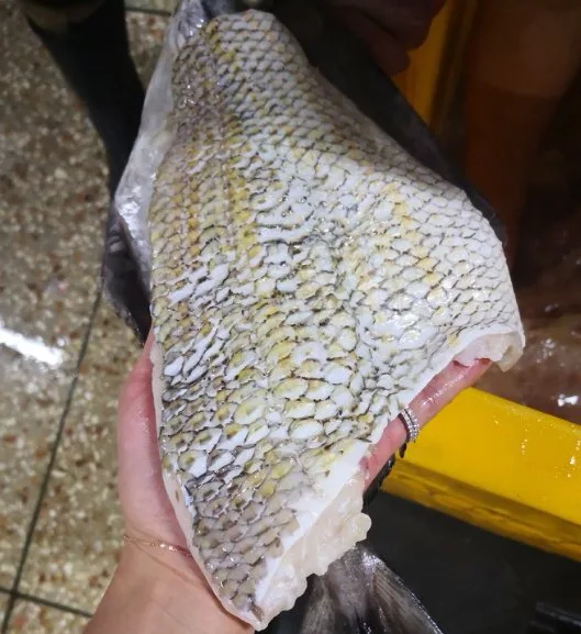 
frozen emper fish fillet 