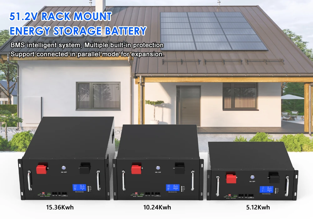 Standard 19 Rack mounted 51.2v 100Ah 200Ah 300Ah Lifepo4 Energy Storage Battery 5Kw 10Kw