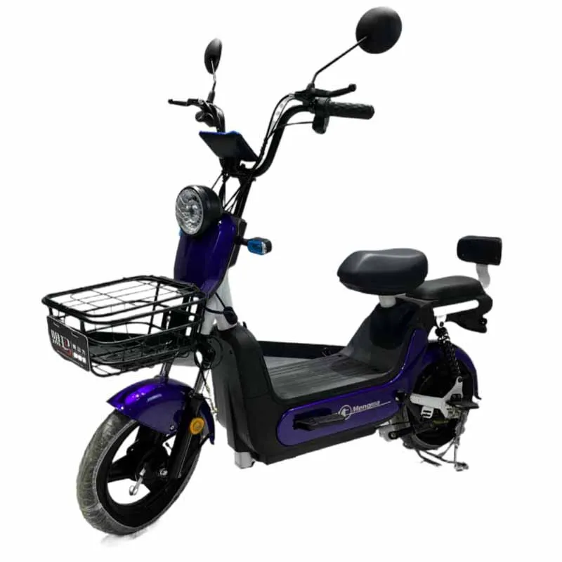 New design 20inch 250w folding electric bicycle vietnam with certificate