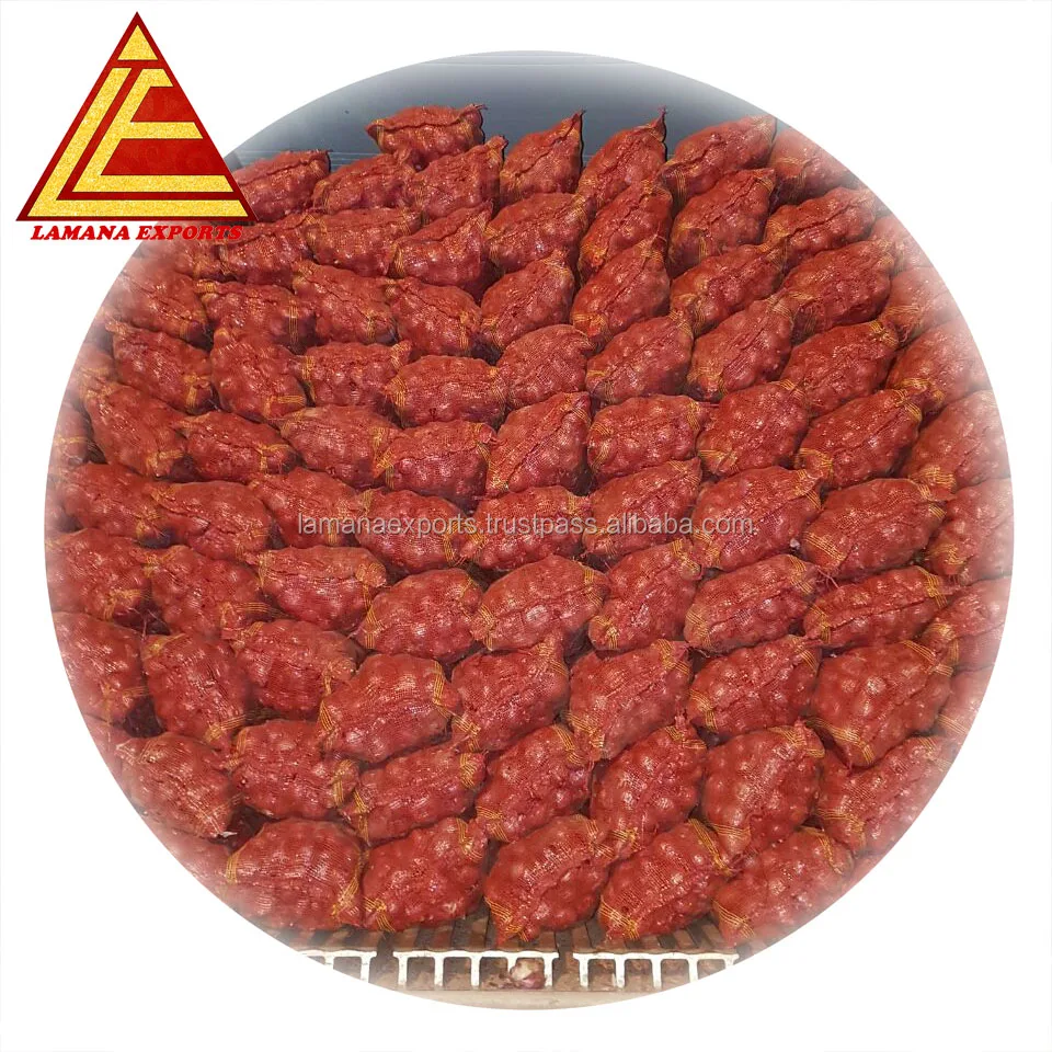 Fresh Red Onion for Malaysia 25mm to 60mm Premium Quality