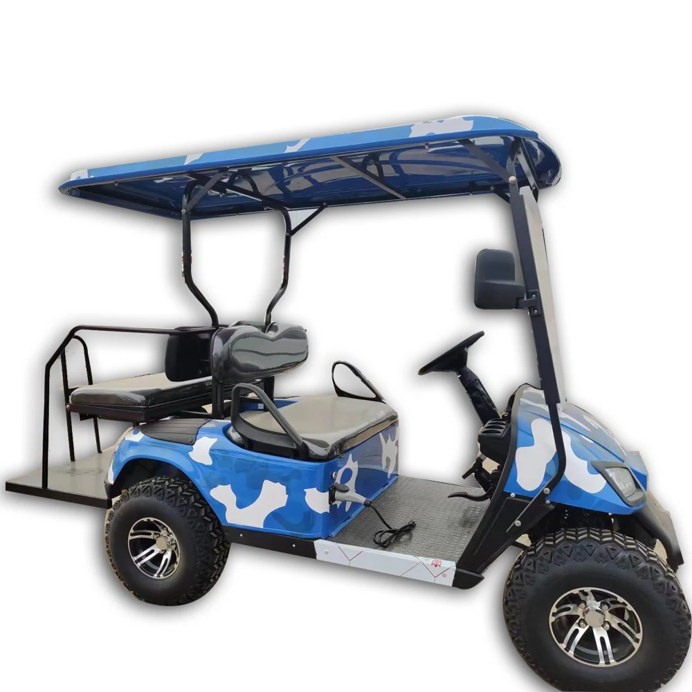 Greenmotor high quality Electric Golf Cart A6 2 Seats 4 Passengers Golf Buggy