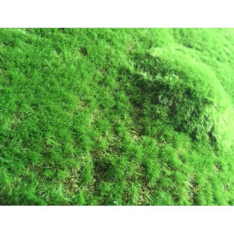 New design Artificial Hanging Faux Greenery Spanish Vines Garlands Potted Realistic Plants Moss Outdoor Indoor Decoration