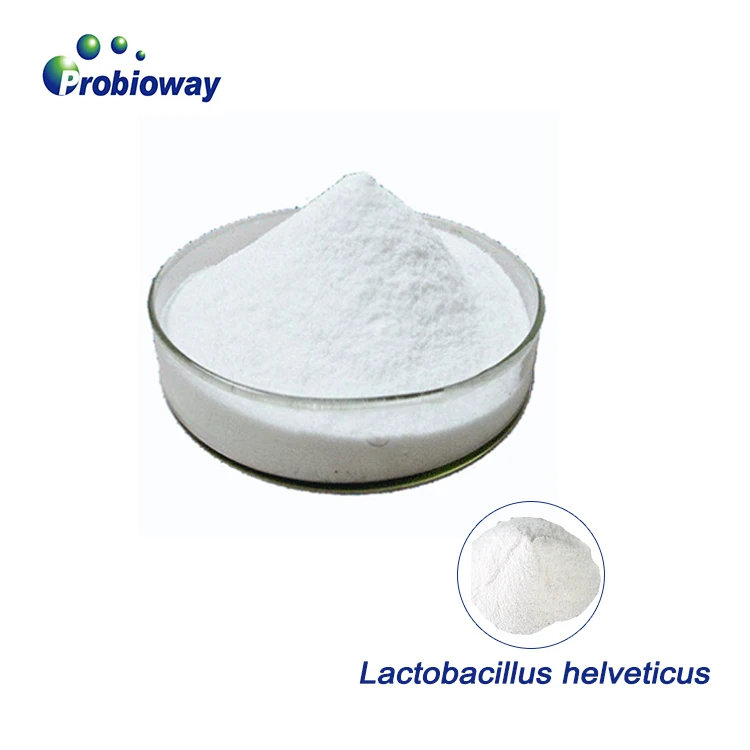 Lactobacillus helveticus HH-LH17 100 млрд cfu/g пробиотики порошок для брожения мяса стартовые культуры