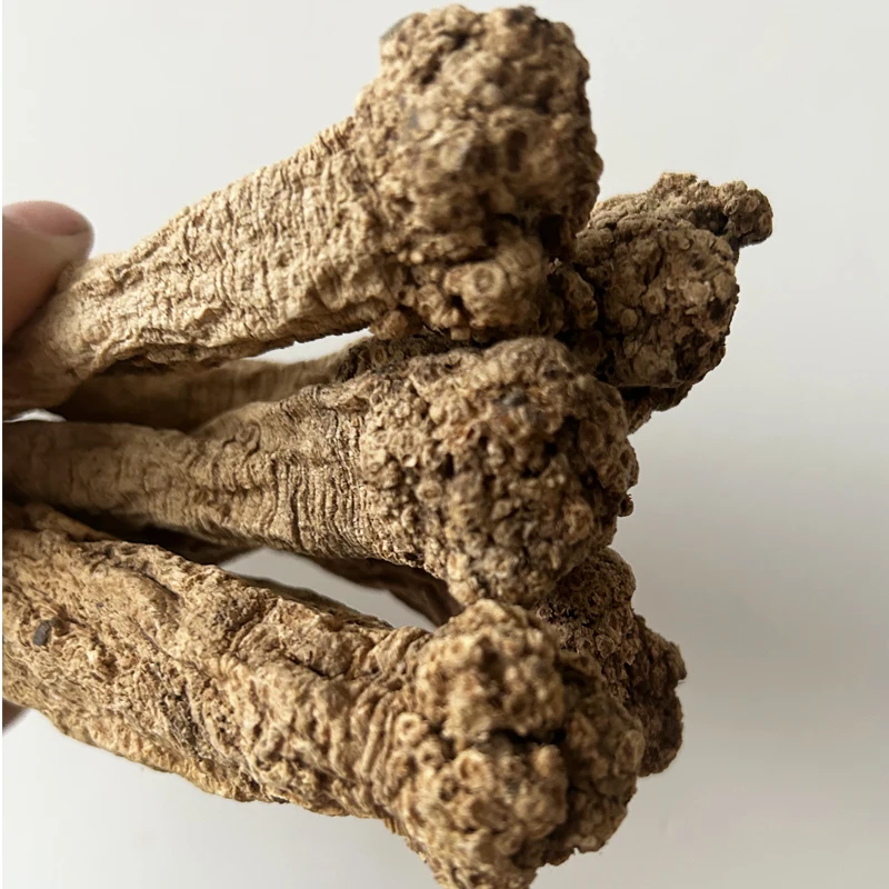 Gansu Zhongzai artificial Extra large codonopsisv Codonopsis pilosula dangshen Old codonopsis Keeping in good health