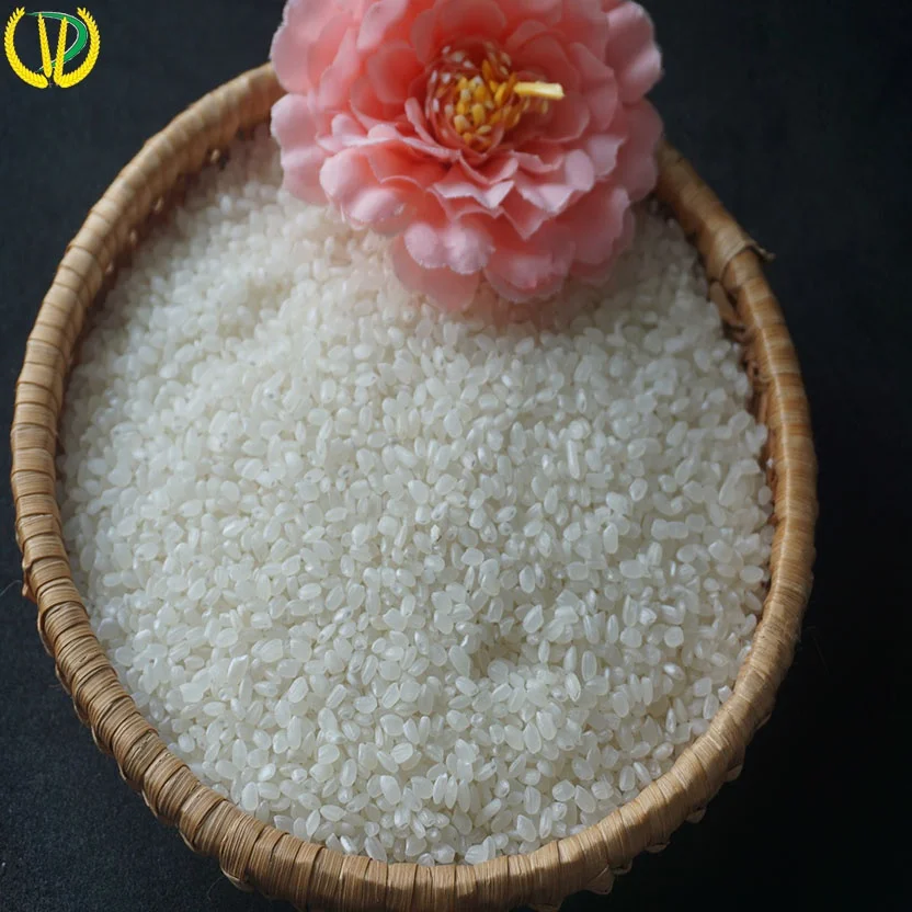 OEM вьетнамский завод, оптовая продажа, ВЬЕТНАМСКИЙ РИС высокого качества ST24 ST25, рис жасмин, вьетнамская японская 100% органический