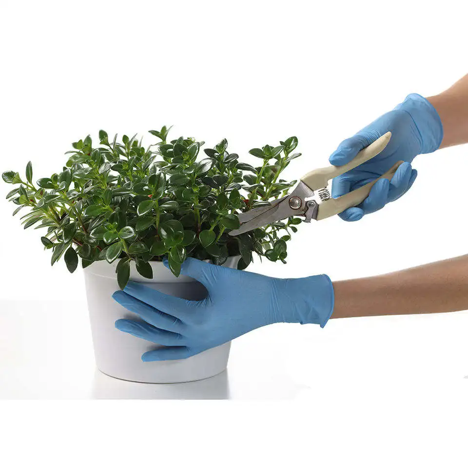 Disposable Blue Nitrile Gloves With Logo China Manufacturer Free Powder Dental Examination Gloves