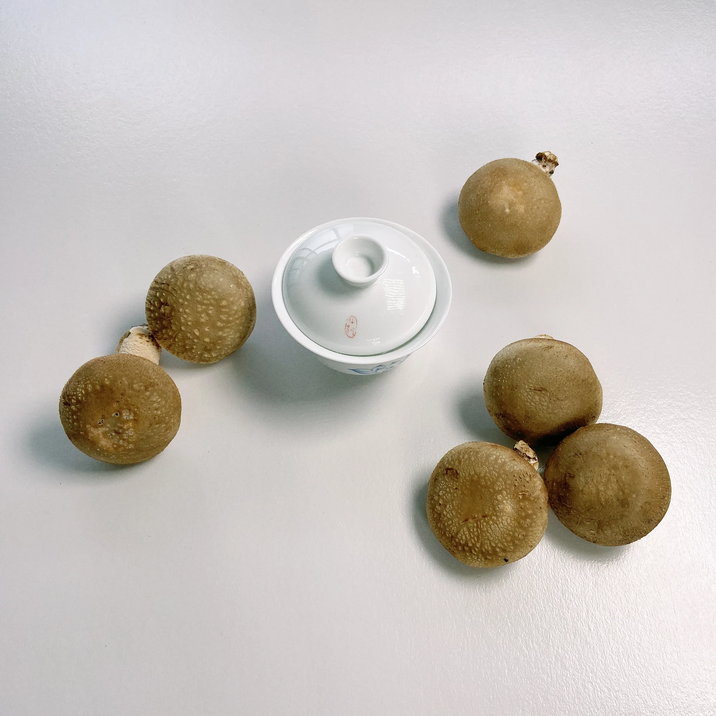 
China Professional Manufacturer Fresh Shiitake Mushrooms Organic 