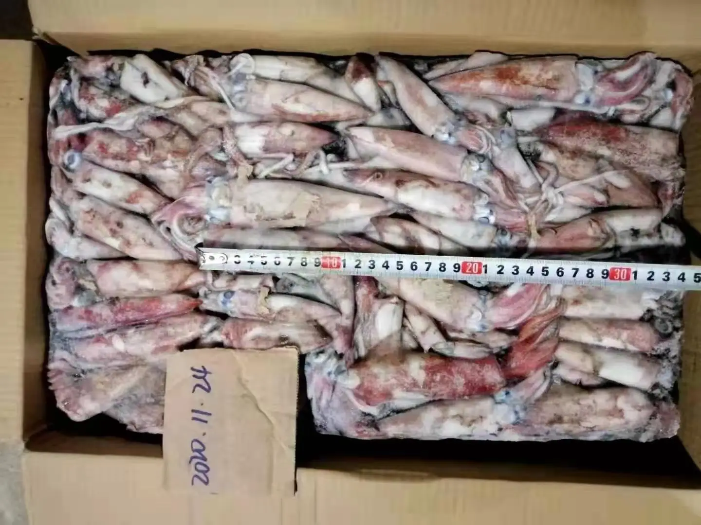  Горячая Распродажа глубоководные свежие морепродукты свежая рыба китайский кальмар Gahi Лучшая цена замороженные Замороженные лоолиговые кальмары оптовая