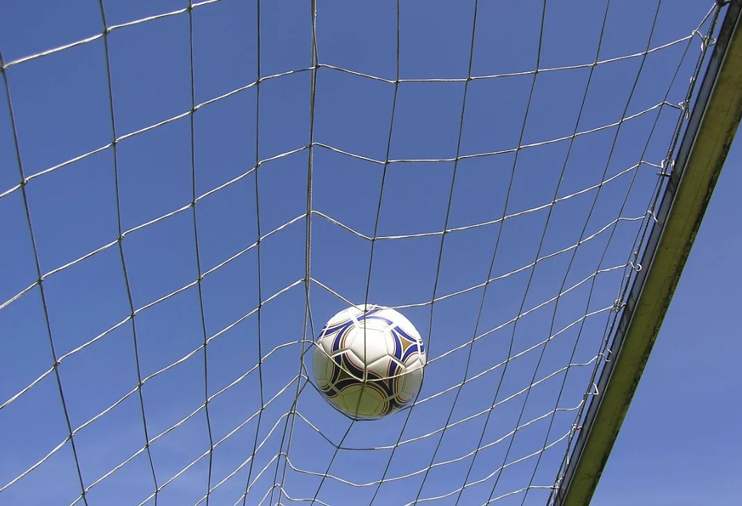 Wholesale Best quality football net/soccer ball fence for 5/7/11 players training