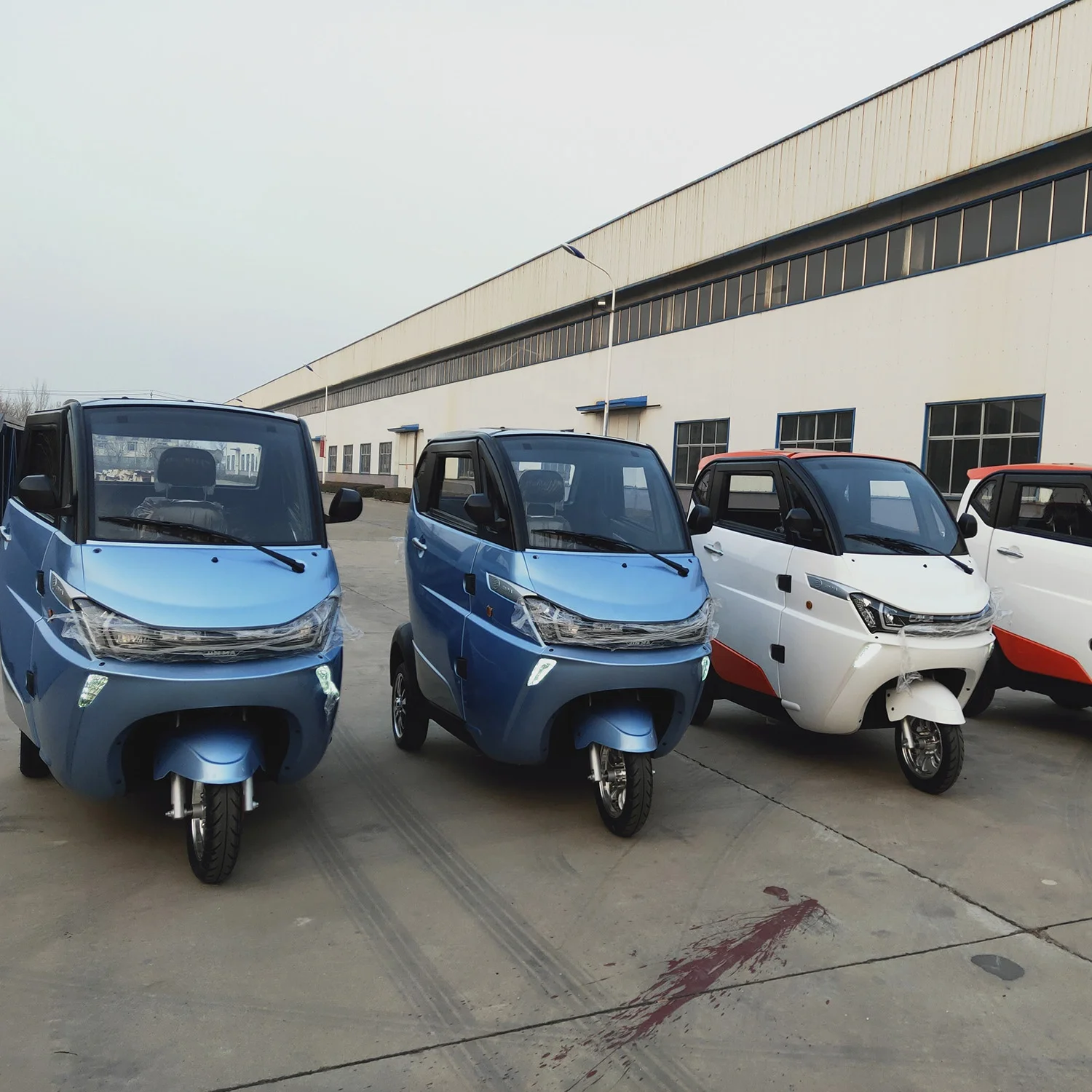 EEC/COC High Quality 3 wheel  enclosed mobility scooters  /electric moped