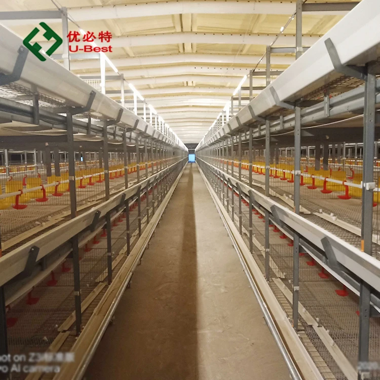 Лидер продаж 3 яруса H типа U-BEST клетка для бройлеров автоматическая кур продажа